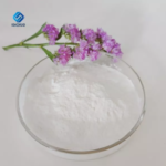 Food Grade Papain CAS 9001-73-4 Enzyme Preparations