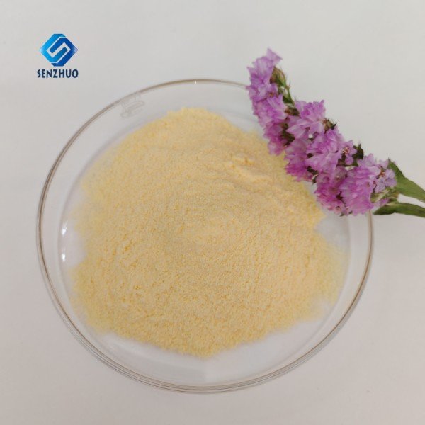 Senzhuo-yellow-powder2.jpg Zein CAS 9010-66-6 - Image 1